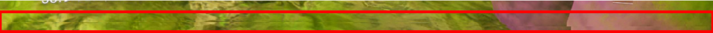 NMSFSR2