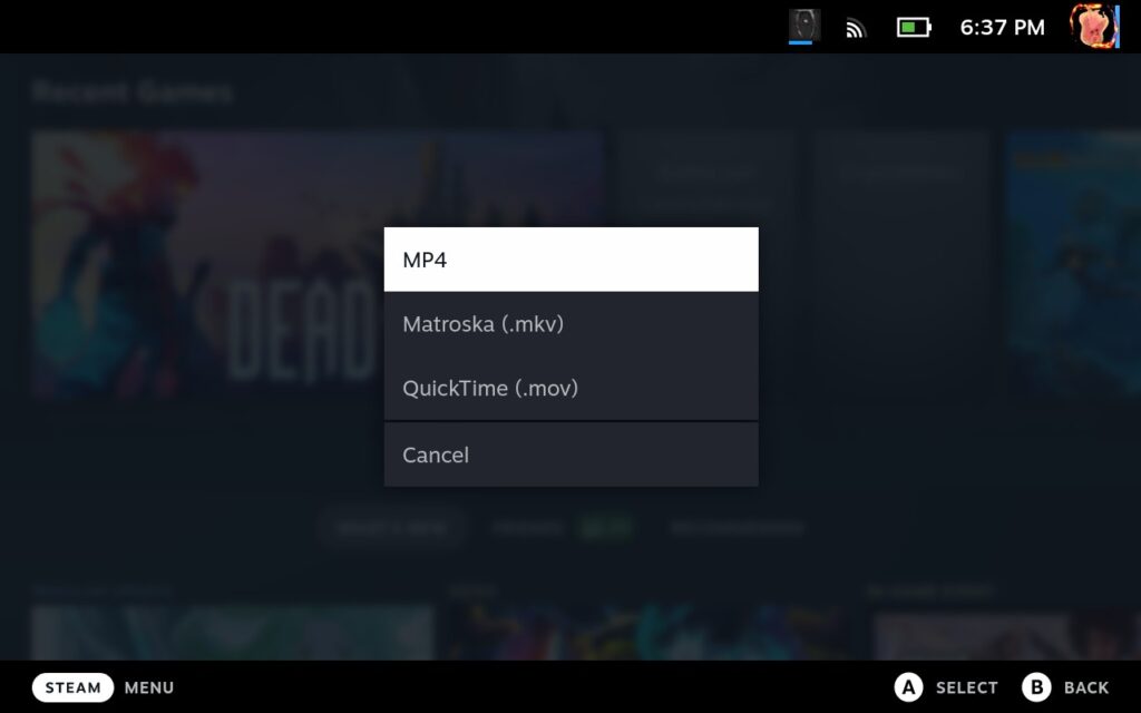 Decky Recorder Plugin Adds Past Clip Saving 4 DeckyRecorderFileTypes