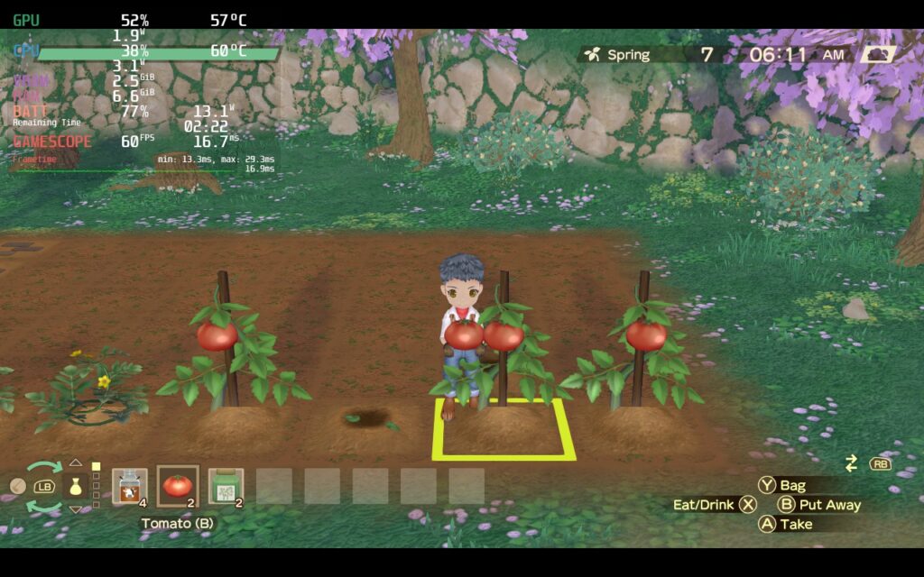 STORY OF SEASONS: A Wonderful Life 6 SoSAWL4