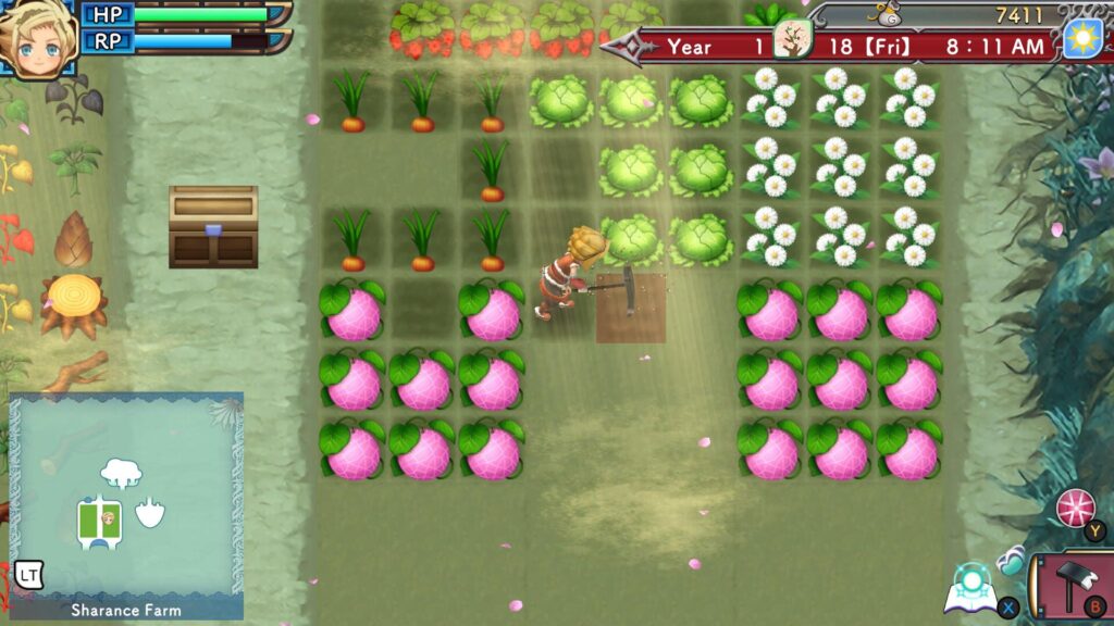 Meet the Bachelorettes in Rune Factory 3 Special's Newest Trailer 3 RuneFactory3Stock3 1