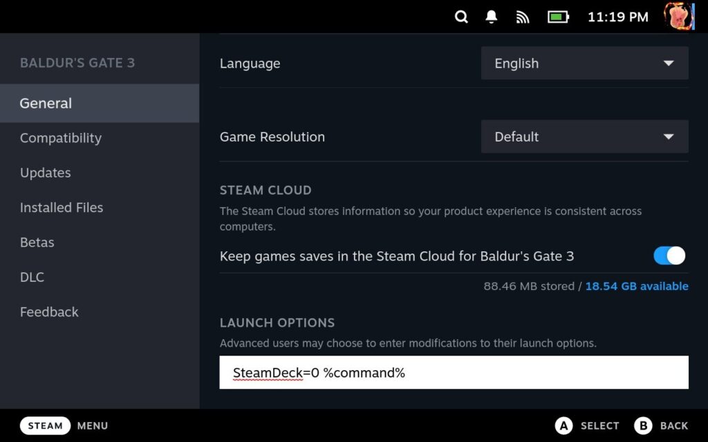 How to Play Baldur's Gate 3 Splitscreen on Steam Deck 2 BaldursGate3Preferences