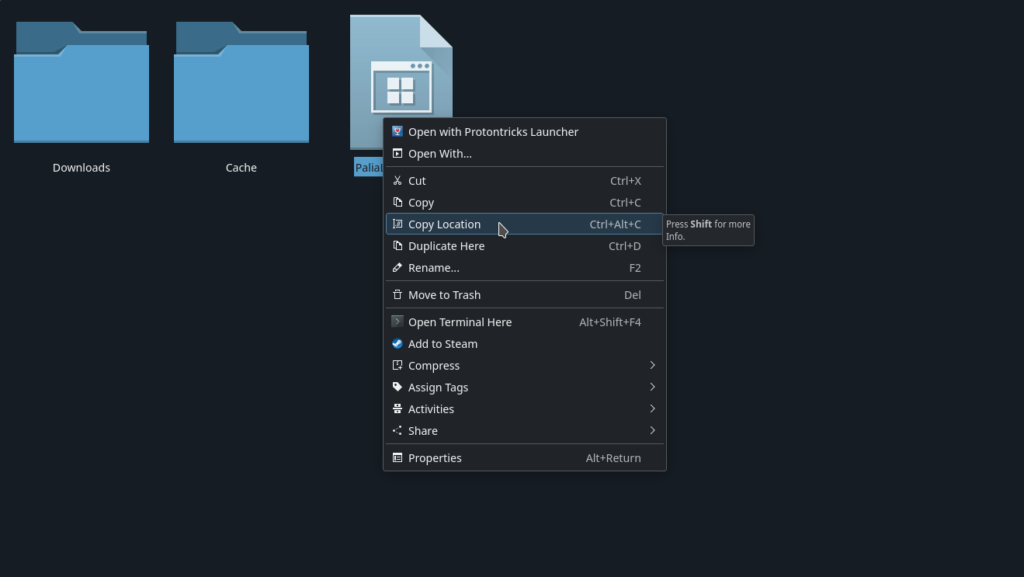 How to Fix Palia's Closed Beta on the Steam Deck 8 CopyPaliaLauncherLocation