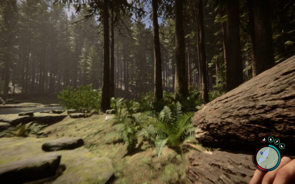 Sons of the Forest Adds FSR 2 and Steam Deck Preset 3 SonsOfTheForestUpdate154
