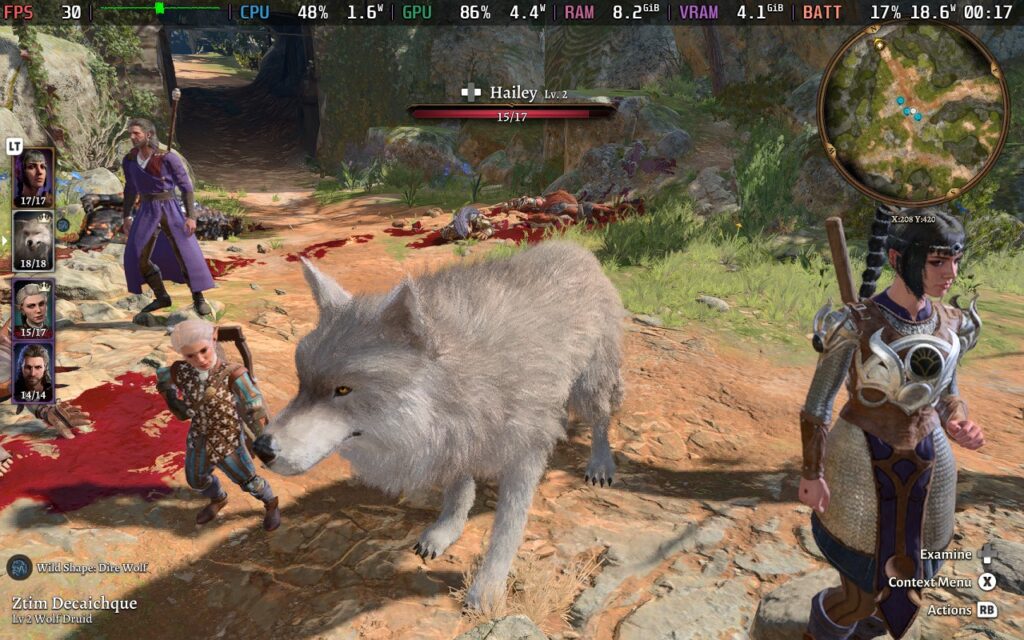 Baldur's Gate 3 5 Looking at a giant wolf in Baldur's Gate 3