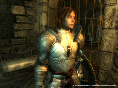 Grab Amazing Steam Deck Games in These Great Steam Sales Ending Soon! 32 oblivion1