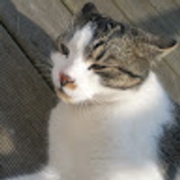 Avatar image of Dusán