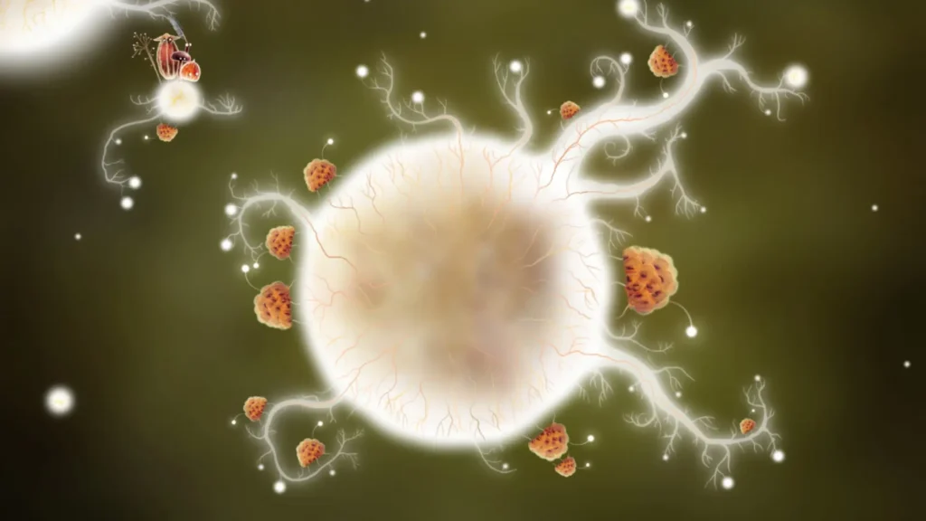 BotaniculaStock1