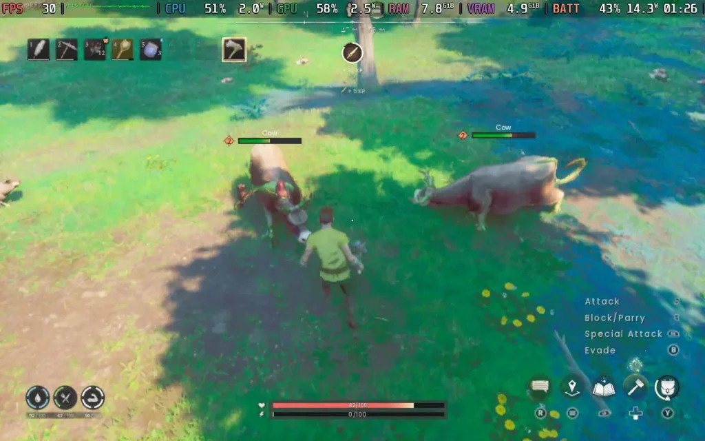 DragonwildsStock2