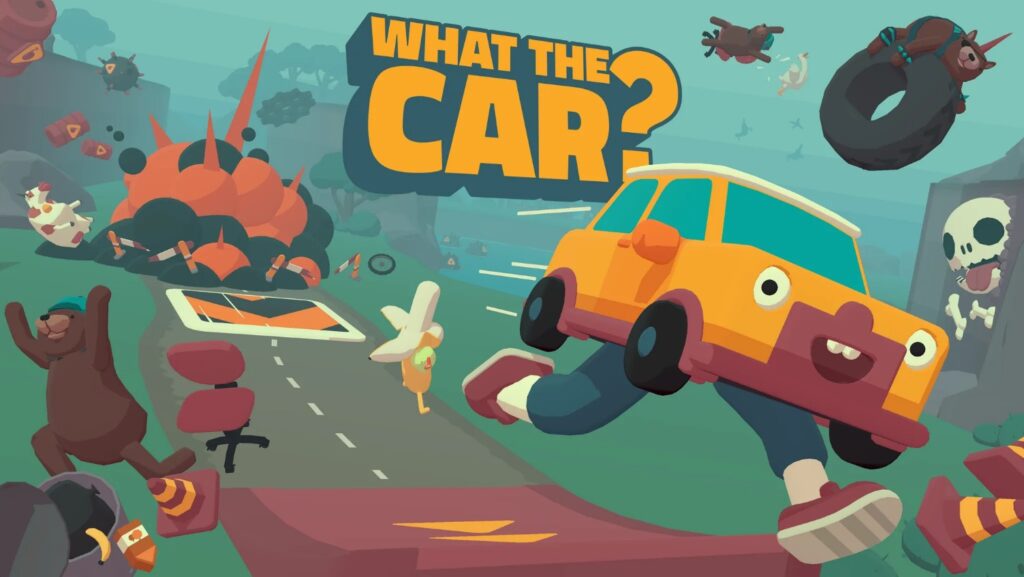 WHAT THE CAR?